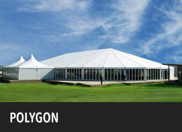 Polygon Gallery